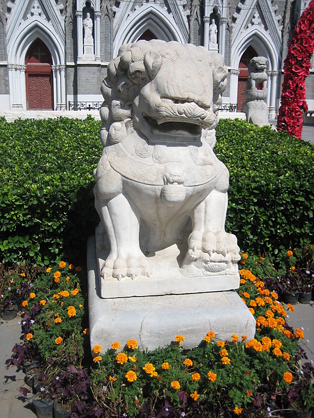 537.JPG 537.JPG