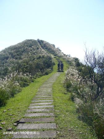 1 (21).JPG 1 (21).JPG