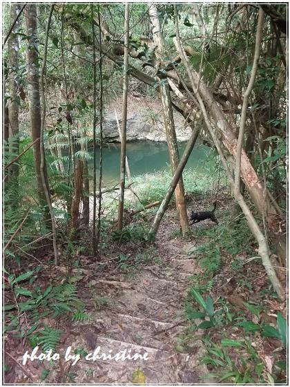 【水上瀑布】道路風景16.JPG