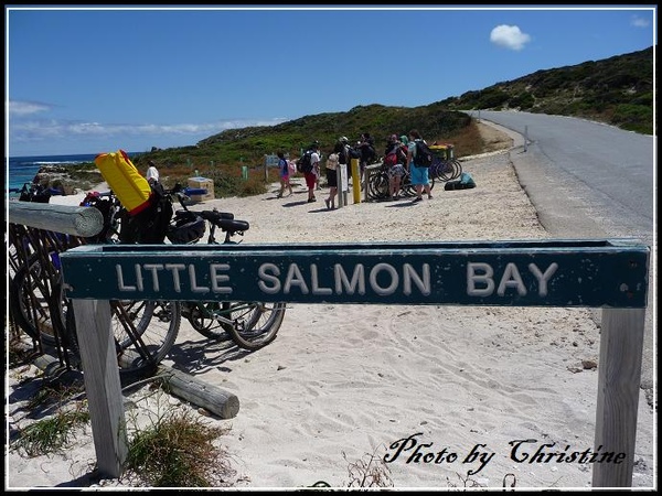 Little Salmon Bay,大家來浮淺