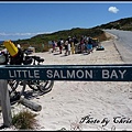 Little Salmon Bay,大家來浮淺