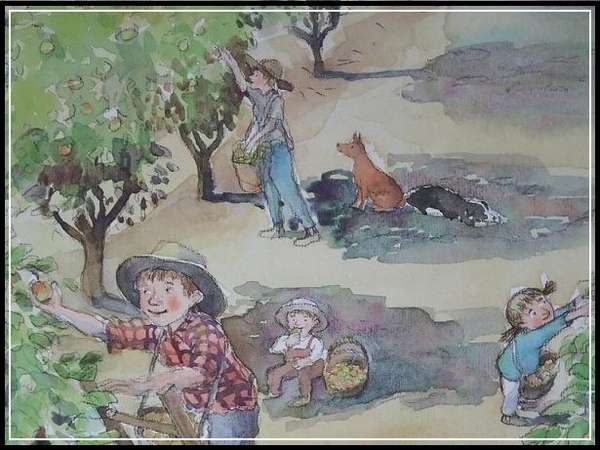 【A YEAR ON OUR FARM】January (Summer)
