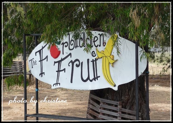 【The Forbidden Fruit Store】on Highway 1 -  路邊招牌 