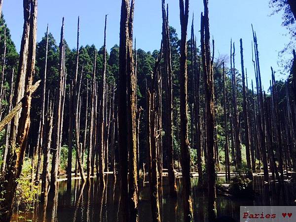 台中南投遊_3053