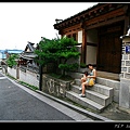 IMG_9708