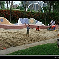 IMG_8387
