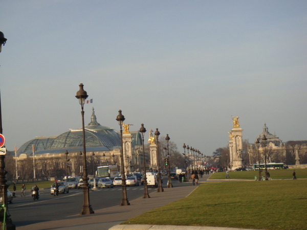 bichonfrance-img600x450-1235680119497859invalides__21_-3.jpg