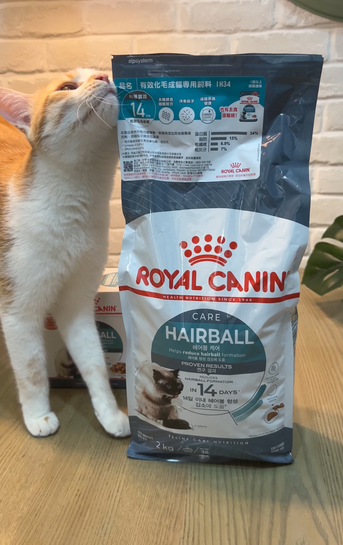 【開箱貓飼料推薦】ROYAL CANIN法國皇家IH34 有