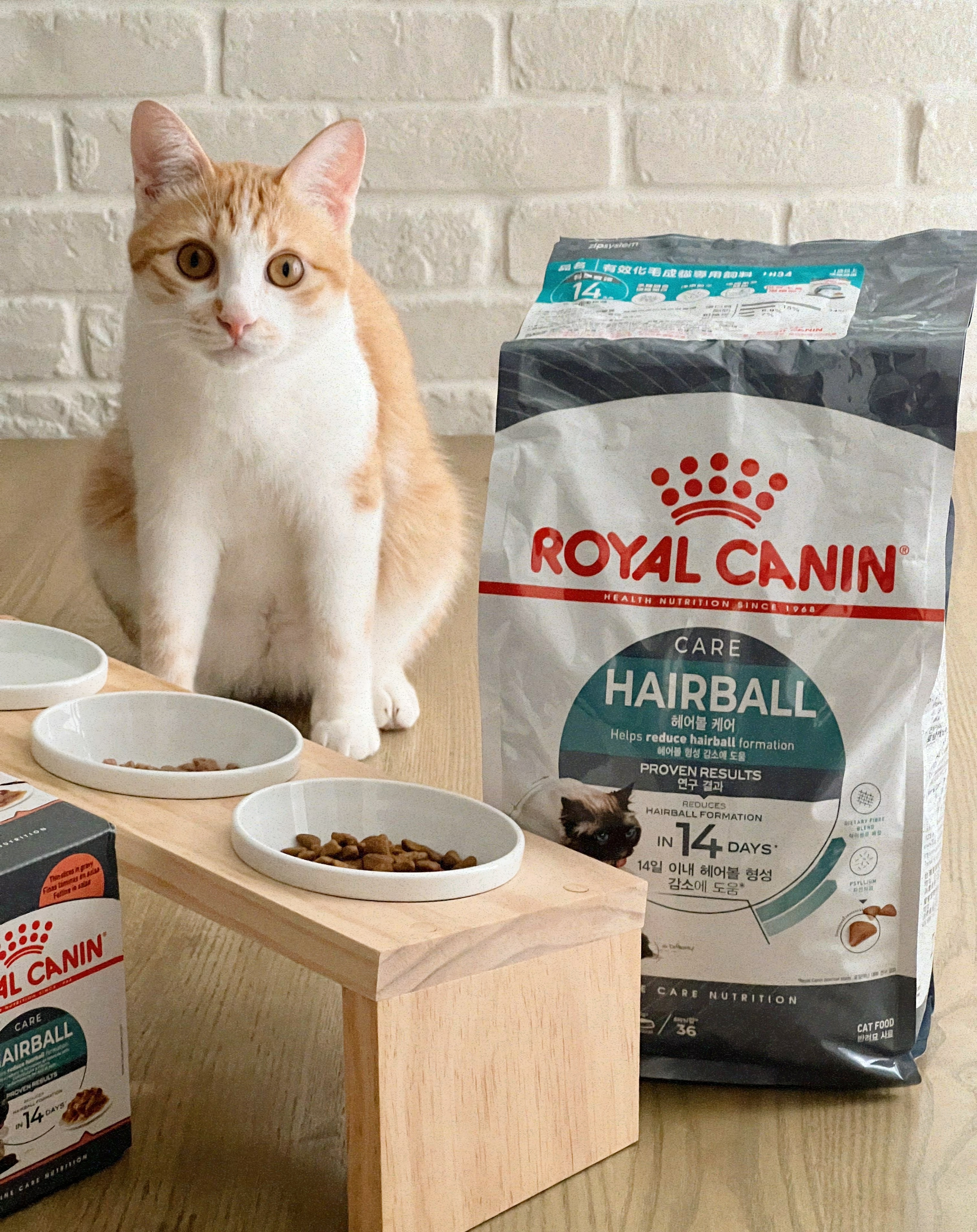 【開箱貓飼料推薦】ROYAL CANIN法國皇家IH34 有