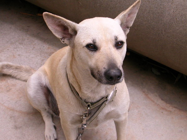DSCN1505.JPG
