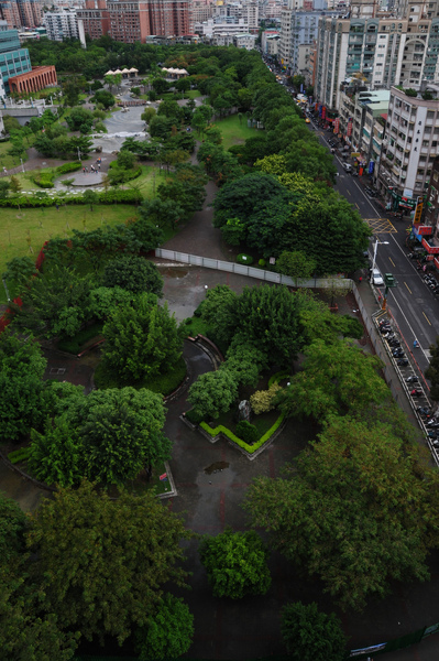 四號公園將被剷除的樹叢 四號公園將被剷除的樹叢