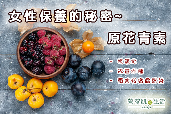 黃韋堯的營養肌生活專欄 原花青素 黃韋堯的營養肌生活專欄 痞客邦 黃韋堯的營養肌生活專欄 原花青素 黃韋堯的營養肌生活專欄 痞客邦