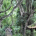 Ubud-31.jpg