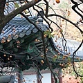 梵魚寺-13.jpg