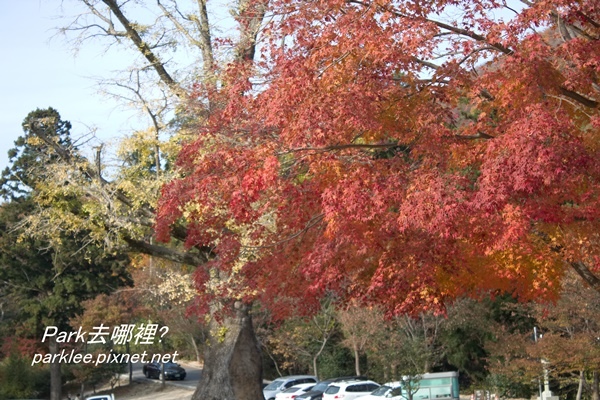 梵魚寺-17.jpg