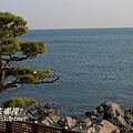 冬柏島-7.jpg