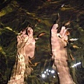 醫生魚在溫泉裡~會吃你的腳皮跟角質喔..超癢
