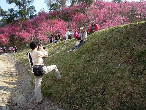 20120214濁水巷櫻花_0257_調整大小