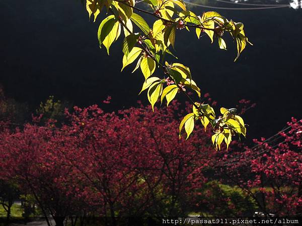 20130203南投萬大電廠_0125_調整大小