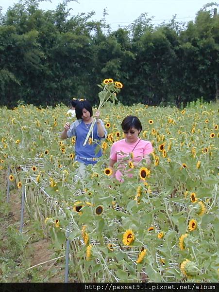 20010712怪獸結婚_0014.jpg