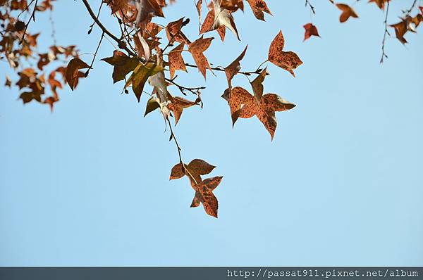 DSC_5982_調整大小