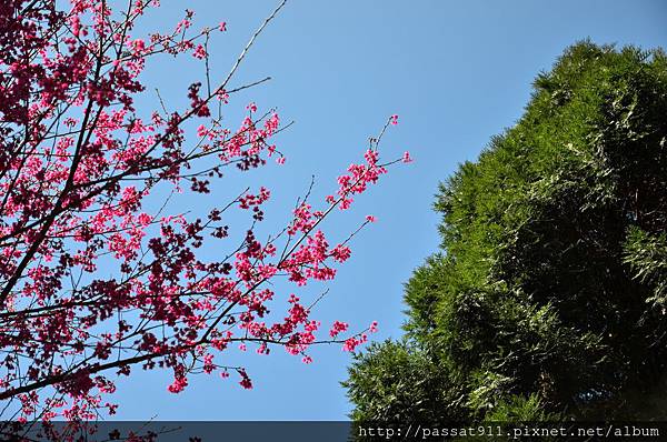 201402021苗栗三義雲洞山莊_0004_調整大小.jpg