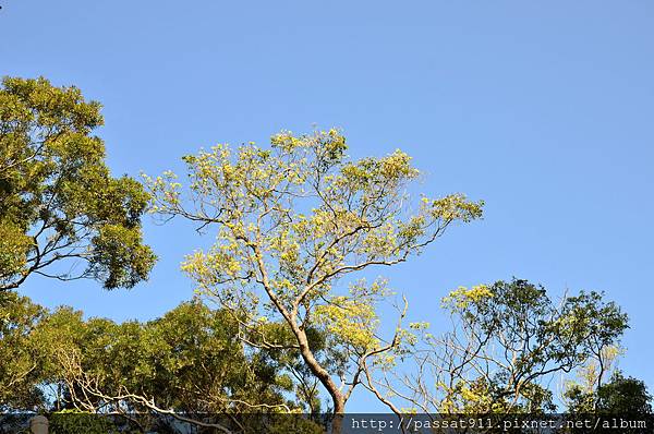 201402021苗栗三義雲洞山莊_0009_調整大小.jpg