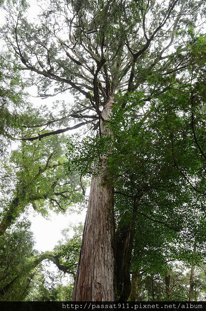 20140726宜蘭馬告_0134_調整大小.jpg