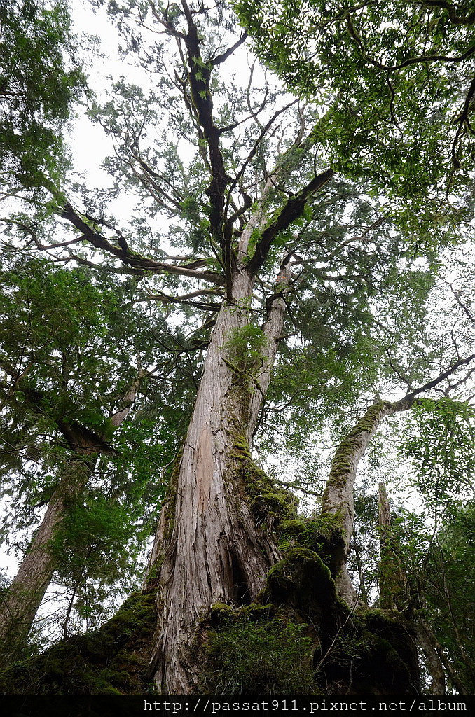 20140726宜蘭馬告_0141_調整大小.jpg