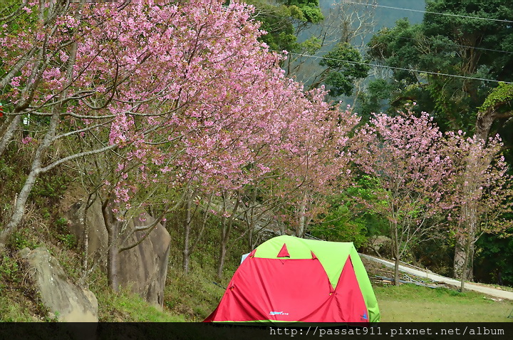 20140228泰安洗水山露營區_0173.jpg