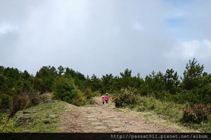 20140824玉山國家公園麟趾山步道_0166_調整大小.jpg