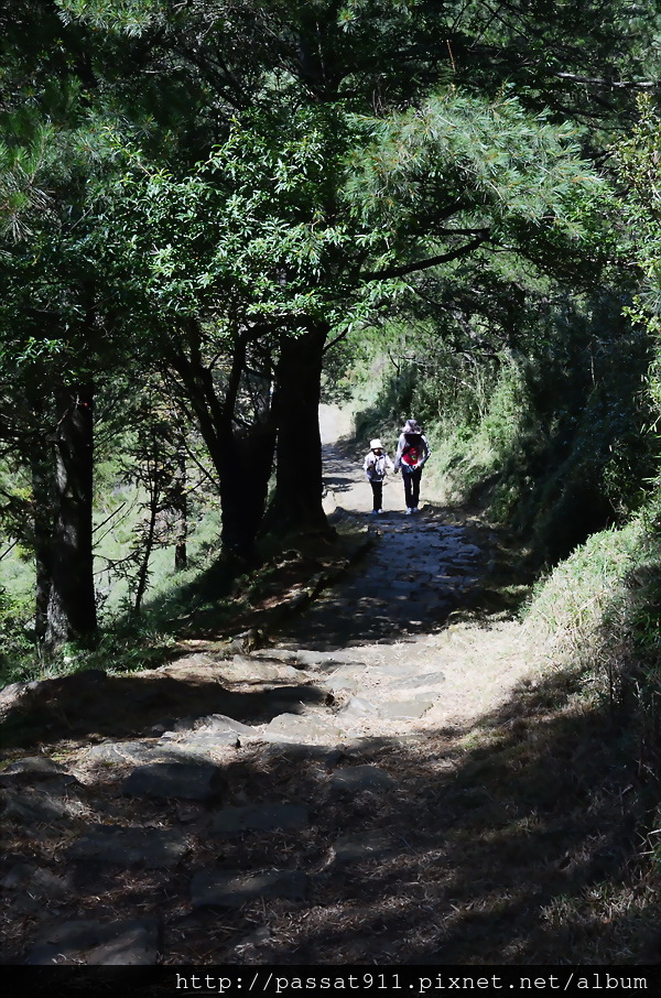 20140824玉山國家公園麟趾山步道_0103.jpg