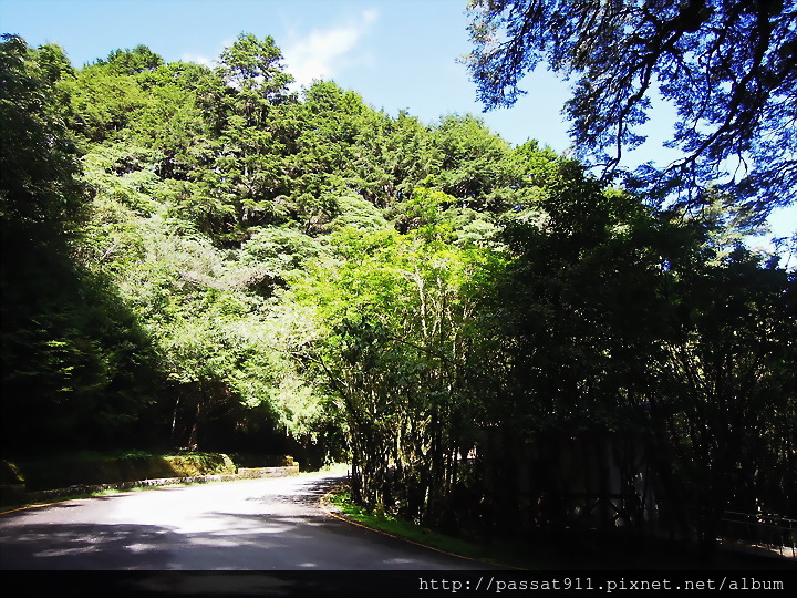 20140824玉山國家公園麟趾山步道(芊)_0232_調整大小.jpg