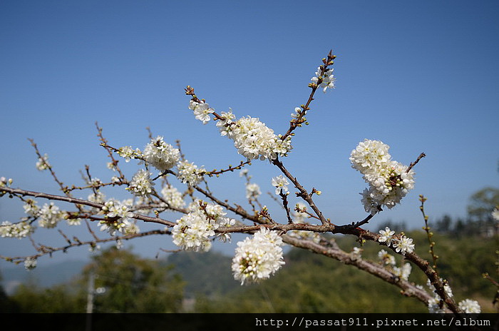 20150117苗栗泰安洗水山露營區_0146_調整大小.jpg