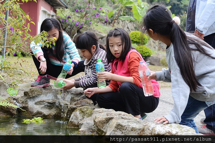 20150207南投草屯山上的茶樹_0287_調整大小.jpg