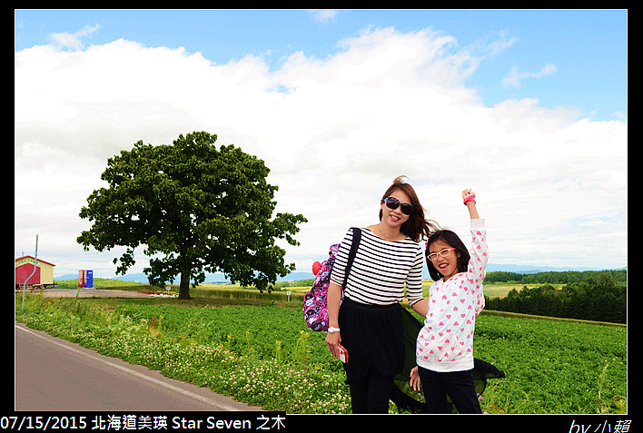 20150715北海道美瑛拼布之路-Seven Star 之木_0022.jpg