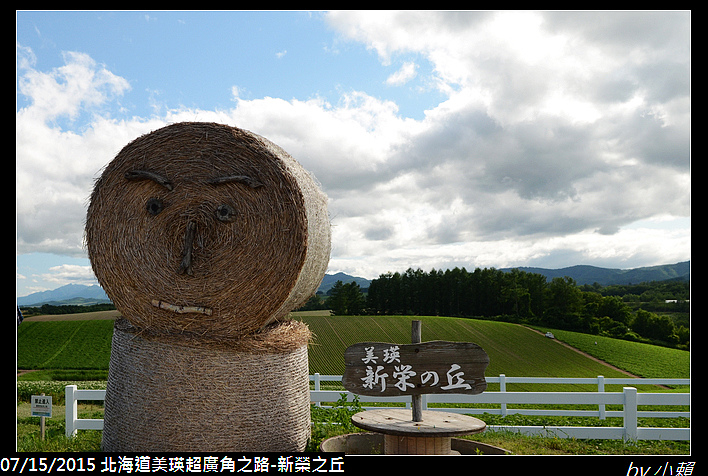 20150715北海道美瑛超廣角之路-新榮之丘_0031.jpg