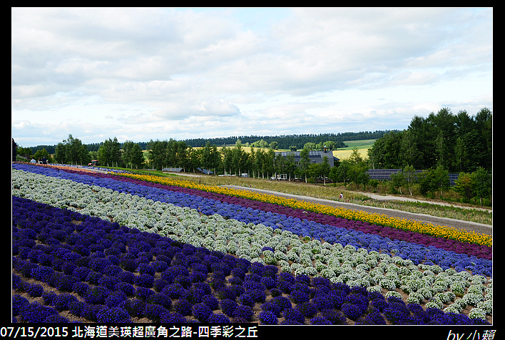 20150715北海道美瑛超廣角之路-４季彩之丘_0010.jpg