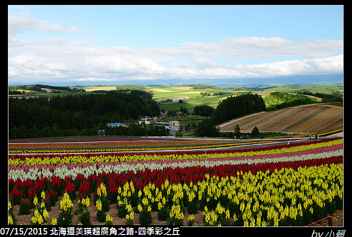 20150715北海道美瑛超廣角之路-４季彩之丘_0043.jpg