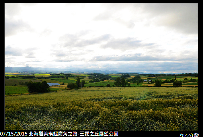 20150715北海道美瑛超廣角之路-三愛之丘_0004.jpg