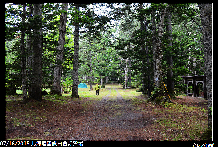 20150715北海道美瑛國設白金野營場_0024.jpg