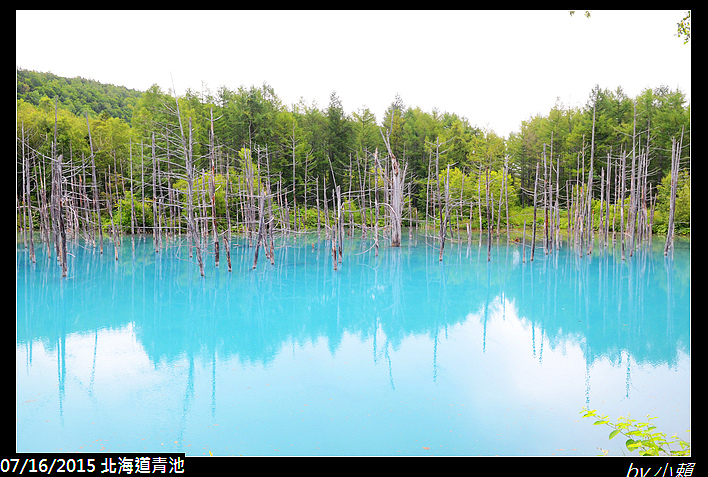 20150716北海道美瑛青池_0016.jpg