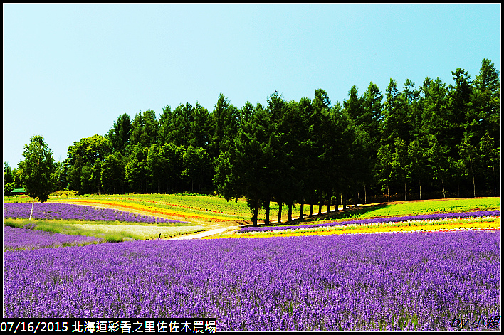 20150716北海道彩香之里佐佐木農場_0081.jpg