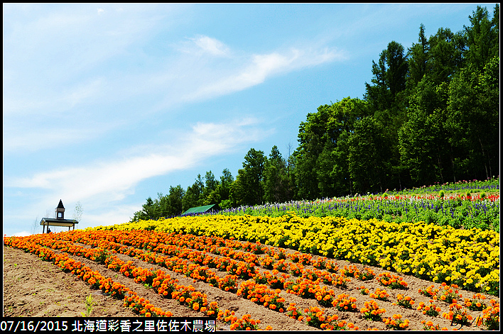 20150716北海道彩香之里佐佐木農場_0042.jpg