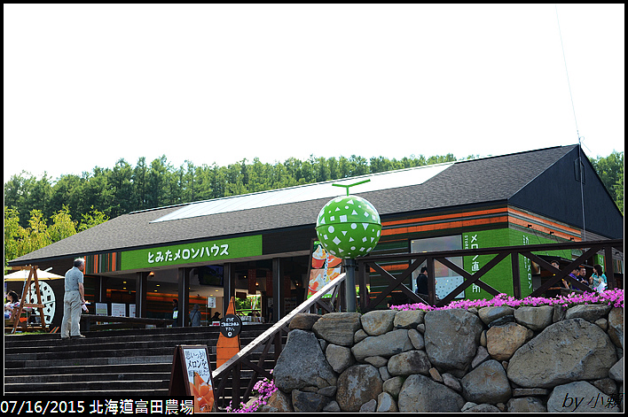 20150716北海道富田農場_0009.jpg