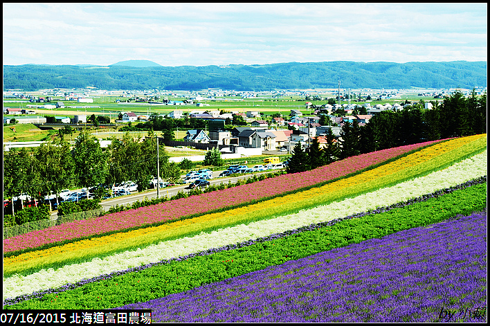 20150716北海道富田農場_0094.jpg