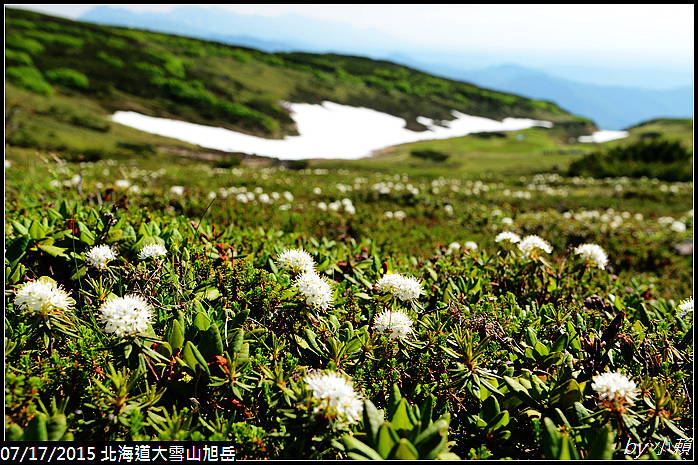 20150716北海道大雪山旭岳_0227.jpg