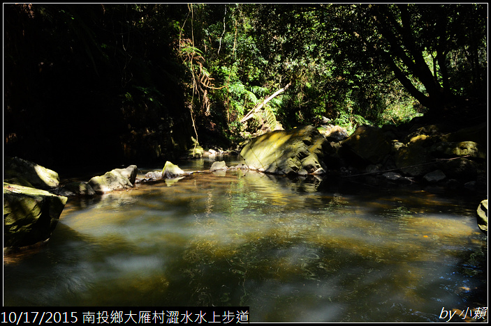 20151017魚池鄉澀水水上步道_0160.jpg