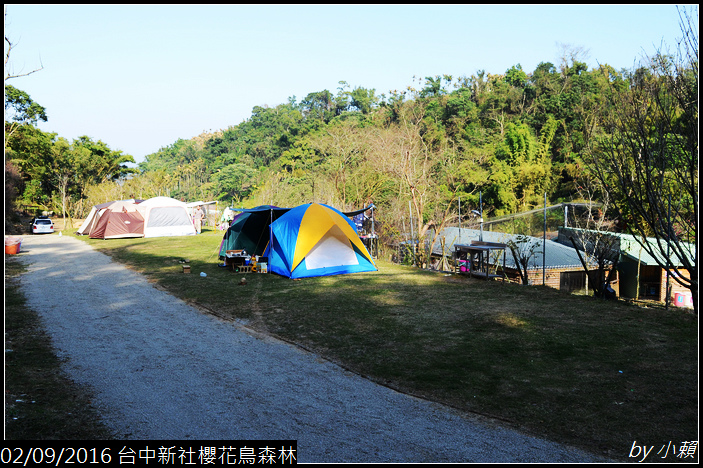 20160209台中新社櫻花鳥森林020.jpg