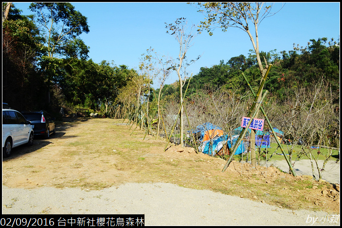 20160209台中新社櫻花鳥森林013.jpg